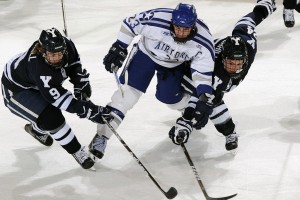 华体会-球迷热谈：本赛季“表现最亮眼”球员！