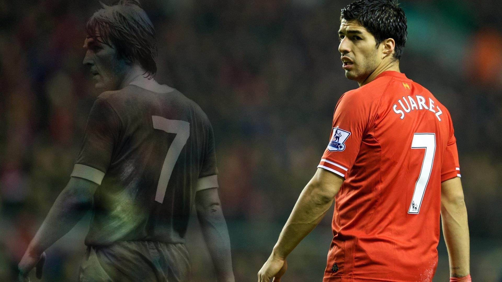 多米尼克长跑运动队取得佳绩,多米尼克 poi